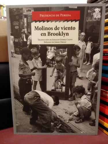 Molinos De Viento En Brooklyn - Prudencio De Pereda