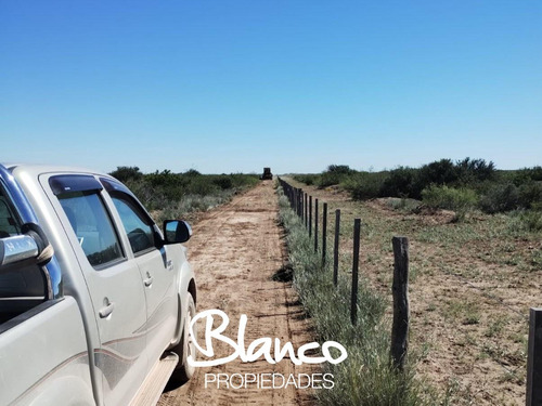 Terreno Campo En Venta En 25 De Mayo, Puelen, La Pampa