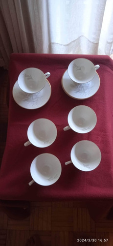 Juego De Porcelana Fina Rosenthal De 6 Tazas Y 6 Platos 