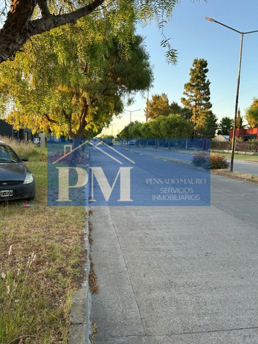 Terrenos Sobre Avenida En Venta, Tapalqué