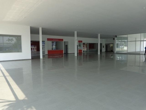 Imagen 9 de 30 de Jg. López**/vende Local Con Terreno, Edificio Comercial Y Mas, En Av. Pedro León Torres, En Barquisimeto Zona Centro, Telf. 04145533925. Cod. 22-20195, Lara, Venezuela