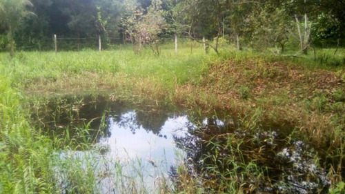 Terreno De Chácara Desmatado No Bopiranga - 3951 | Npc