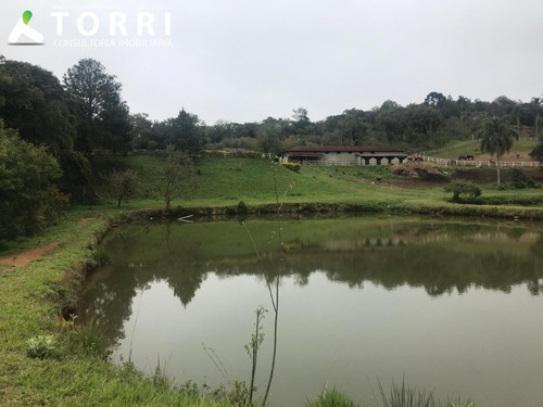 Imagem 13 de 30 de Lindo Haras Completo A Venda Em Piedade/sp - 1254 - 33115306