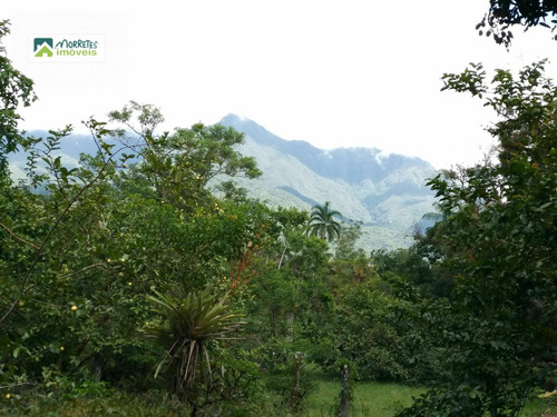 Imagem 3 de 24 de Chácara À Venda No Bairro América De Cima - Morretes/pr - 269