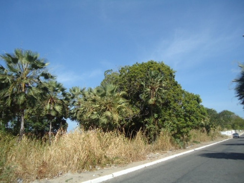 Imagem 3 de 4 de Terreno Para Alugar Na Cidade De Fortaleza-ce - L6545