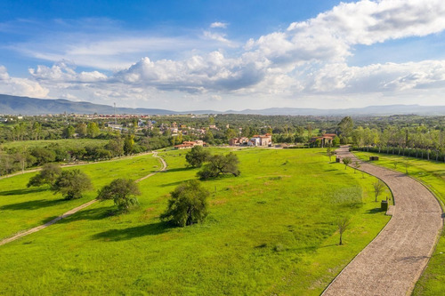 Imagen 15 de 30 de Terreno En Venta, Dentro Del Exclusivo Rancho La Loma En San