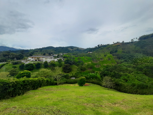 Venta Lote Conjunto Campestre En Chinchiná Cod 5204140