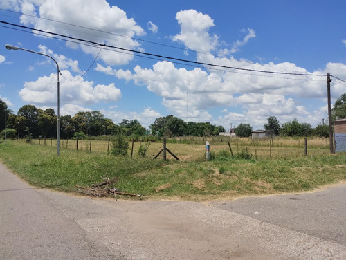 Terreno En Viña, Partido De Arrecifes, Prov. Bs.as. Superficie 338 M2 Aprox. (13 M X 26 M). Dueño Directo Sin Comisión Y Listo Para Escriturar. Servicios. Excelente Ubicación Y Zona!
