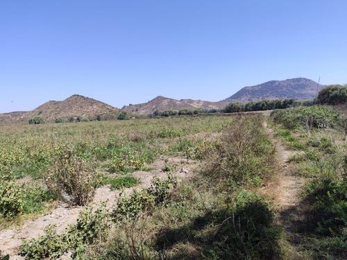 Arriendo Anual - 44 Ha Terreno Agrícola Cultivo Siembra