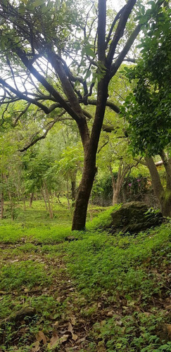 Divino Terreno En Fracc. Limoneros, Cuernavaca