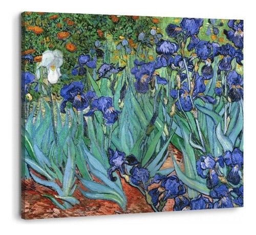 Cuadro Flores Iris De Van Gogh En Lienzo Canvas Con Bastidor Color Multicolor