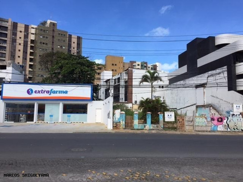 Imagem 4 de 6 de Terreno Para Locação Em Salvador, Rio Vermelho - An0297_2-983523