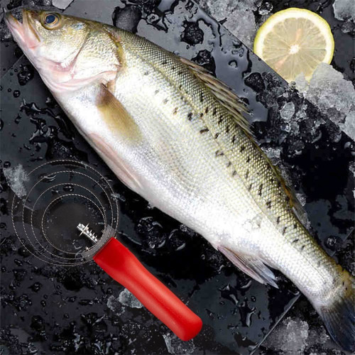 Cepillo Para Polvo De Pescado Con 2 Removedores De Escamas