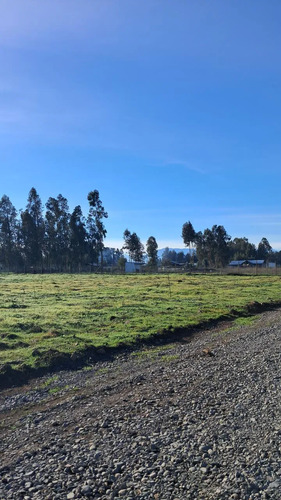 Parcelas De Agrado En Venta, Molina