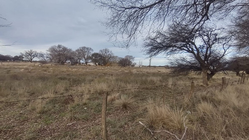 Terreno En Av. San Martín Y Alvear - Ataliva Roca