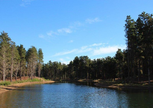 Imagen 9 de 15 de Venta - Lote Con Vista A Laguna En Villa Robles - Barrio Cerrado