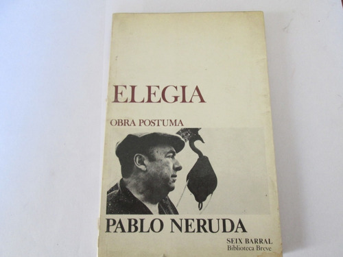 Pablo Neruda Elegía 