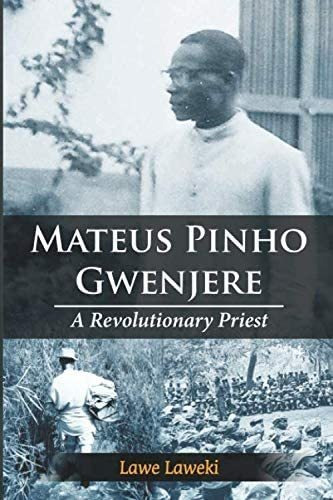 Libro: En Inglés Mateus Pinho Gwenjere Un Premio Revoluciona