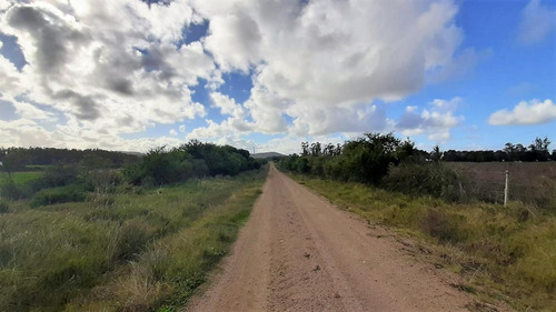 Imagen 8 de 11 de Chacra De 6 Hectáreas Muy Cerca De Ruta 9