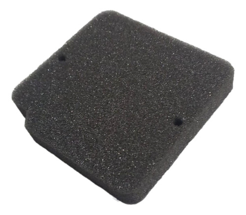 Filtro Ar Elemento Espuma Shineray Xy 50 2015 Á 2024