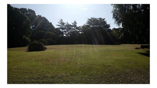 Imagen 8 de 27 de Quinta En Venta - 5 Dormitorios 3 Baños - 396mts2 - Mar Del Plata