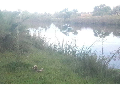 Imagen 14 de 19 de 1086- Venta Campo 136 Hectareas En Estacion Solis Minas Lavalleja