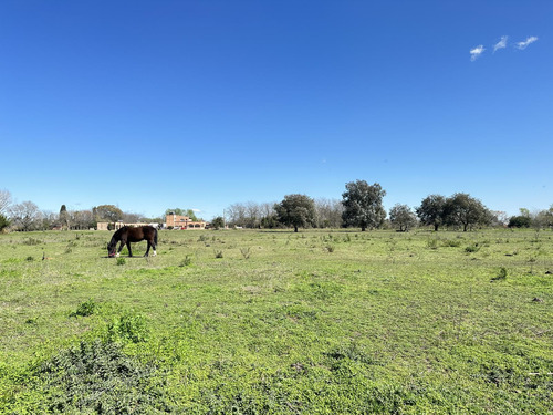 Venta Terreno En Lobos, Lotes De Quintas De Casi 1ha