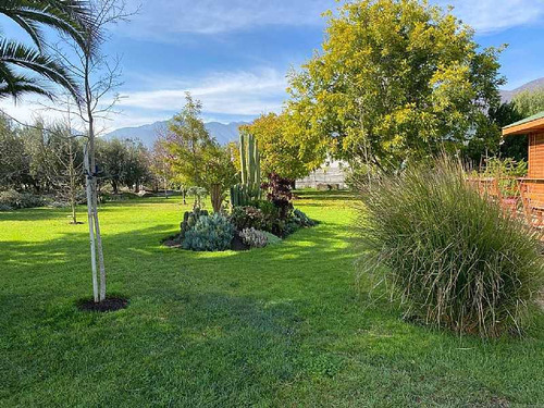 Quillota (104730)