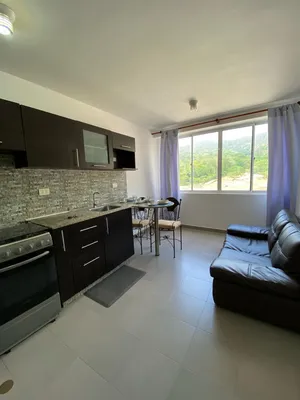 Apartamento en alquiler