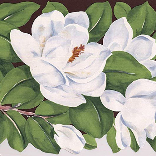 Papel Tapiz Flor Magnolia Blanca Borde Blanco Verde Marron 8