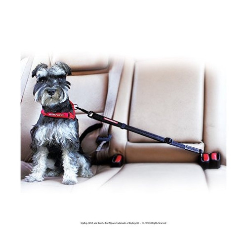 Ezydog Clic - Mejor Asiento De Coche Del Perro De La Correa 