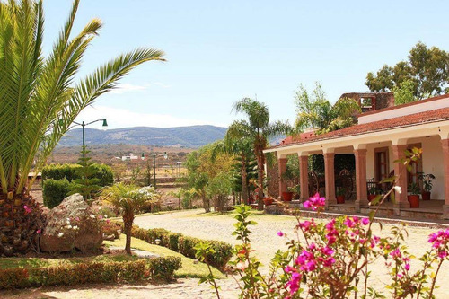 Imagen 2 de 14 de Excelente Terreno En Venta En Jonacapa, Huichapan, Hidalgo.