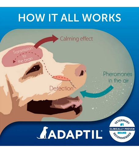 Imagen 8 de 10 de Adaptil Collar Feromona Perros Grandes Ansiedad Anti Stress