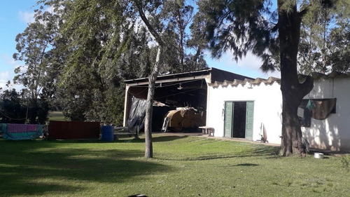 Imagen 4 de 18 de Quinta 7 Hectáreas Y 1/2 En Batán