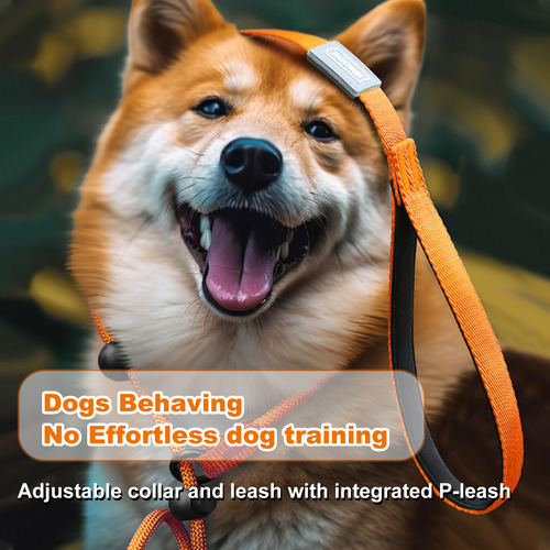 Correas Antideslizantes Para Perros, Correa Para Perros, Cor