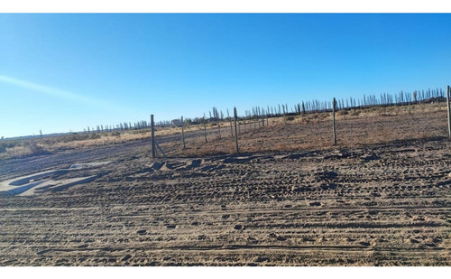 Venta Terreno / Lote El Cerrito