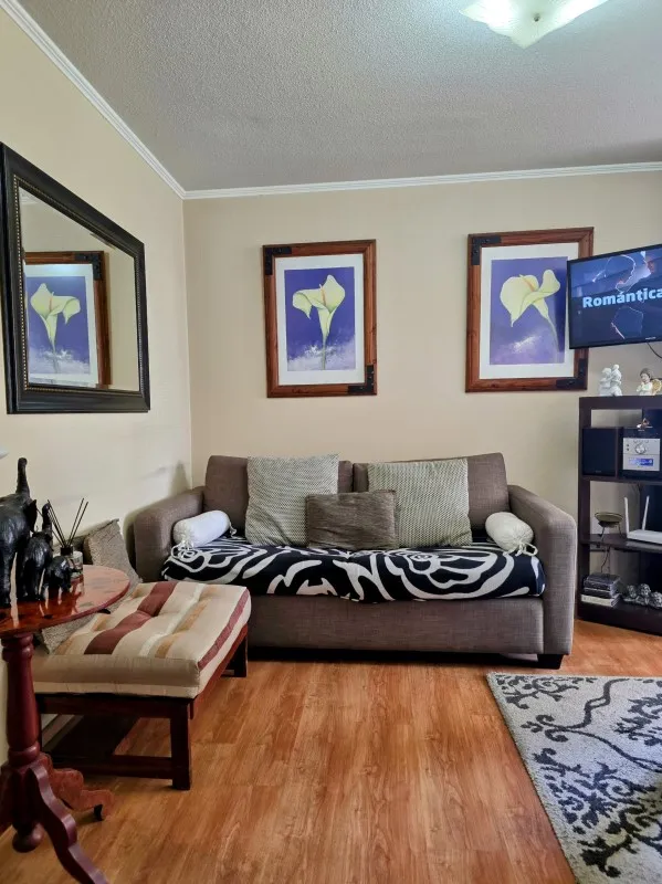 Imagen 4 de 24 de ¡excelente Ubicación! Ev Venta Departamento 1 Dorm. - Viña.