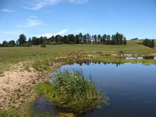 Buen Campo Cercano A Punta Del Este, Con Casa E Instalaciones Ganaderas- Ref: 1089