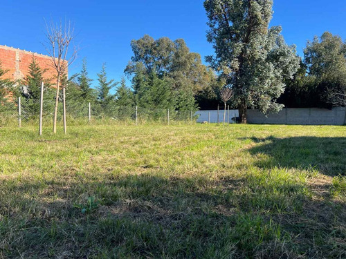 Terreno Venta Barrio Santa Amelia, V. Del Pino