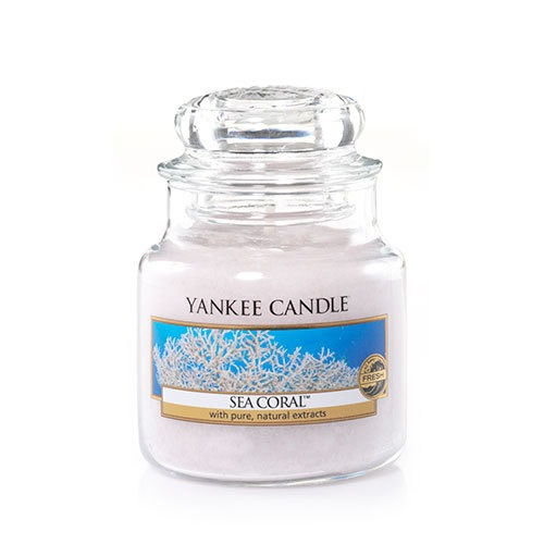 Vela Aromática Small Jar Sea Coral Yankee Candle