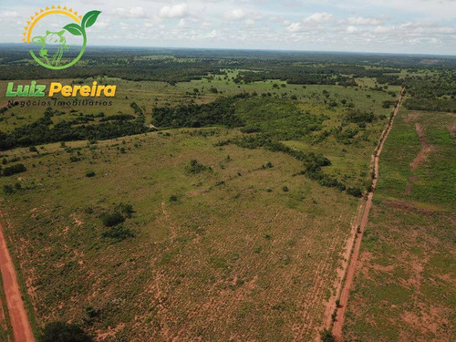 Imagem 4 de 15 de Fazenda À Venda Em Fátima - To-excelente P/ Lavoura, Plantio De Até 800 Hec - 1617
