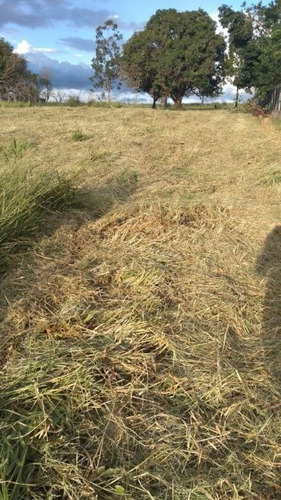 Terrenos Ou Lotes Residenciais Para Venda No Bairro Área Rural Em Iperó - Cod: Ai22305 - Ai22305
