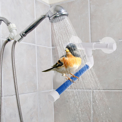 Perca De Baño Para Distro De Bird Perra De Diro De Parrot Pi