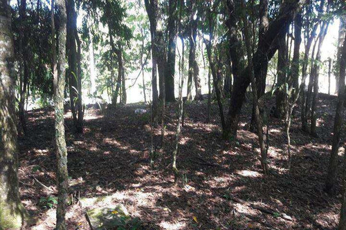 Imagem 5 de 5 de Terreno Em Santana De Parnaíba Bairro Portal Das Acácias - V232600