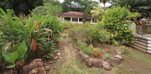 Chácara - Em Pedro De Toledo-sp, Sua Melhor Opção - Ref 585