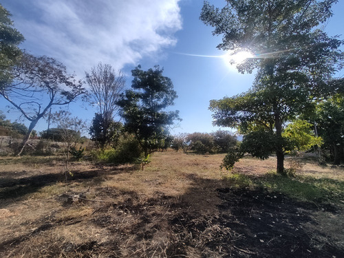 Constructores ! Terreno 85mts Frente A Borde De Carr. Yautepec-las Estacas