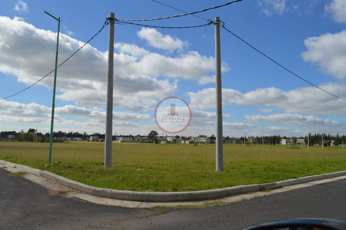 Imagen 7 de 30 de Terreno Lote En Venta Ubicado En Manuel B Gonnet, La Plata