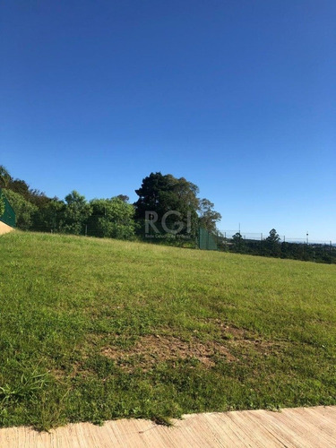 Terreno Em Vila Nova - El56353981