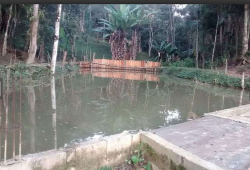 Imagem 13 de 14 de Chácara Em Juquitiba Barnabé