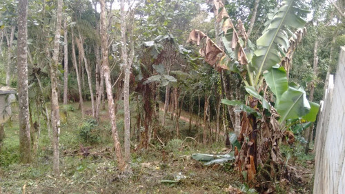 Imagem 1 de 6 de Terreno - Te00026 - 34299727